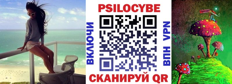 blacksprut tor  Чайковский  Псилоцибиновые грибы Magic Shrooms 